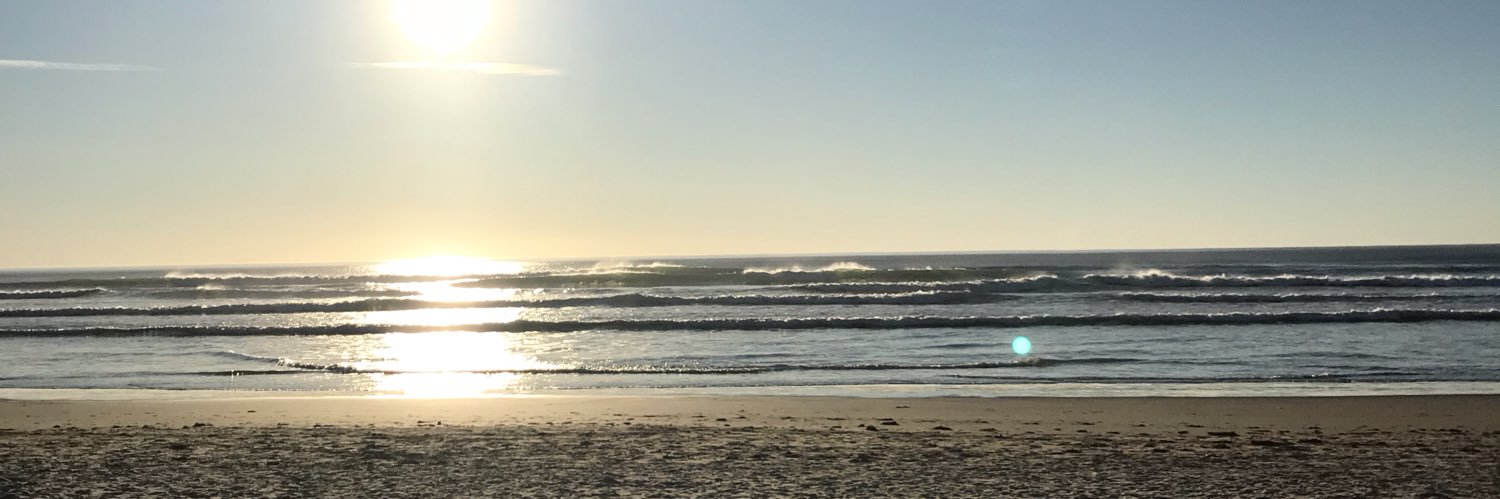 CarinaFunk's profile banner image