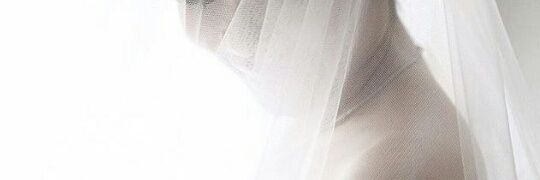 nealoch's profile banner image