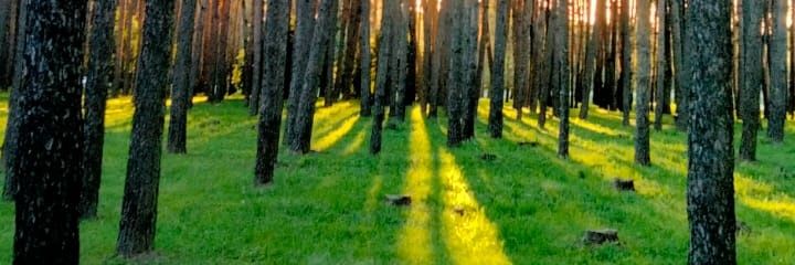 jovi_sie's profile banner image