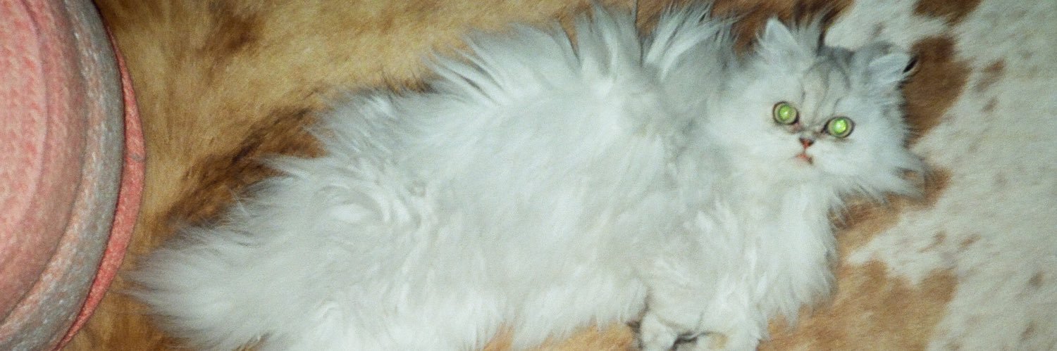 bbbygail's profile banner image