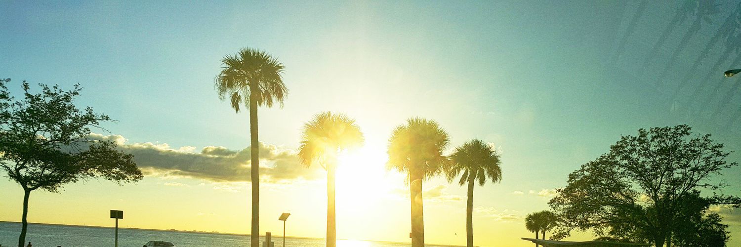 rednicknack's profile banner image
