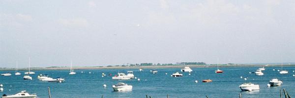 AnneBourbon Profile Banner