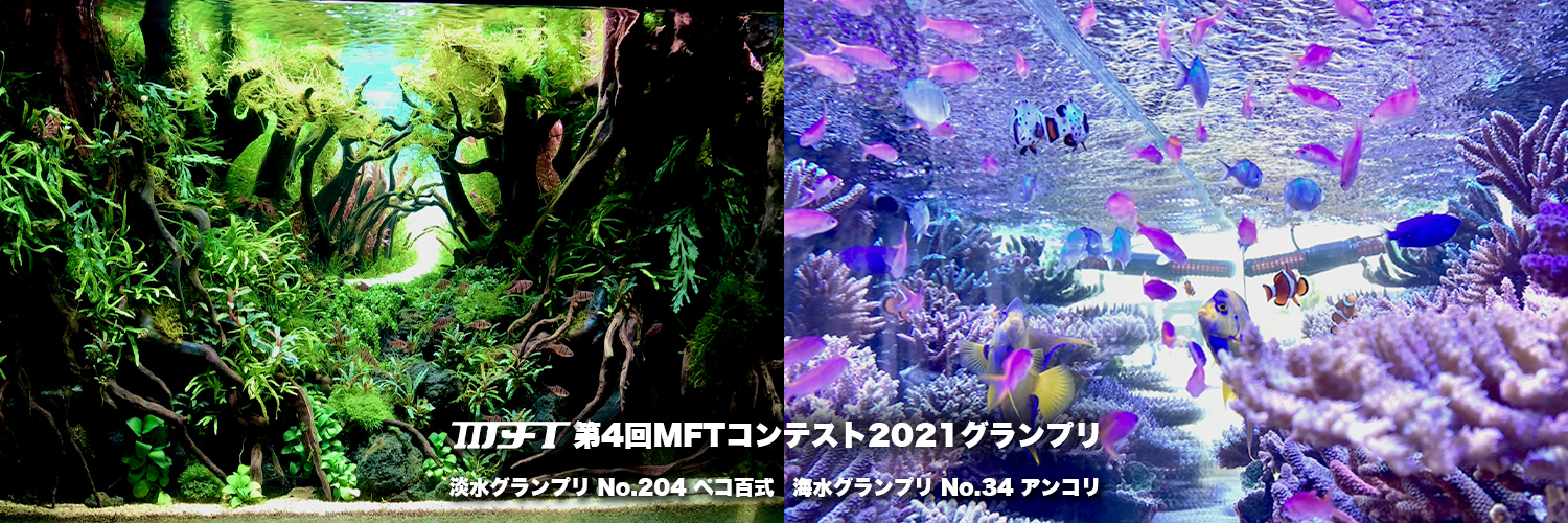 MFTContest's profile banner image