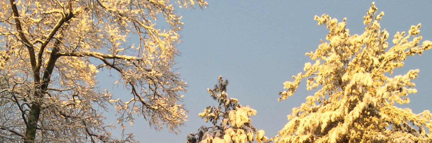 cmcincotta's profile banner image