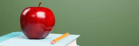 Madeline Rowe banner