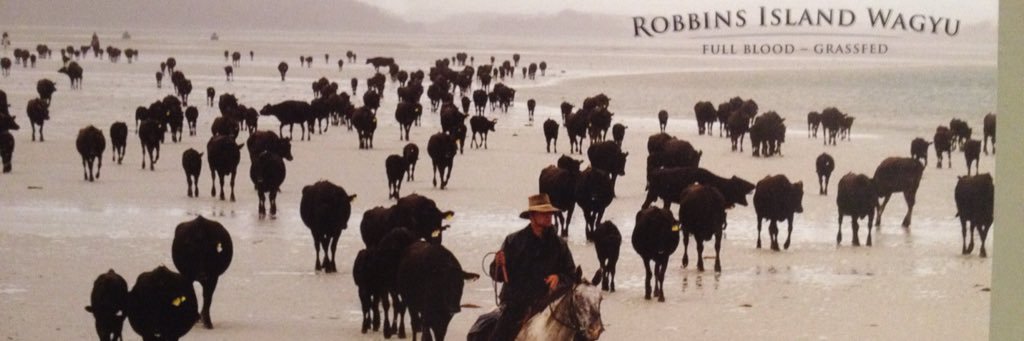 BollingShane's profile banner image