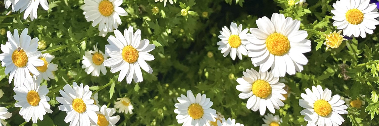 𝑚𝑜𝑒⁷ ﹏𓊝﹏𝟒/𝟏𝟕 banner