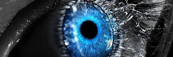 bjdnet Profile Banner