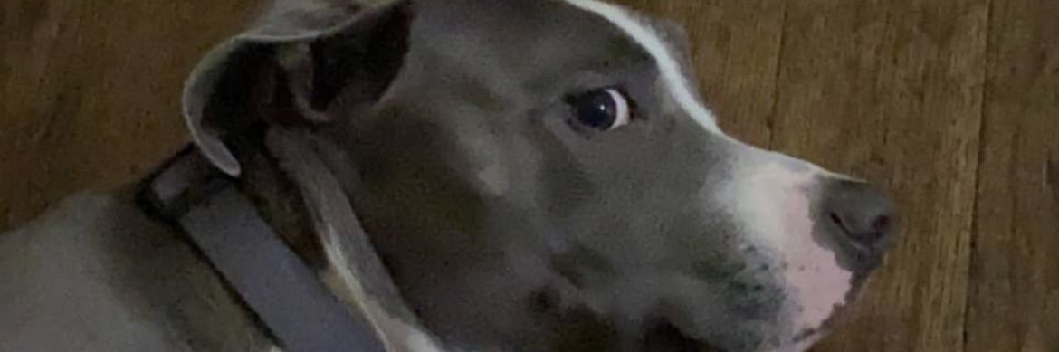 _Iwasjustafool's profile banner image