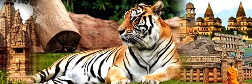 SP_Pandey_INDIA's profile banner image