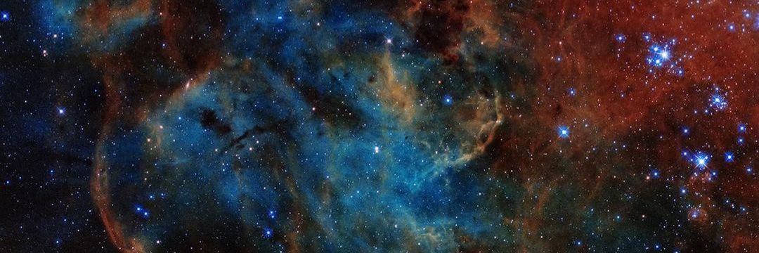 Black Panda Crypto🐼 banner