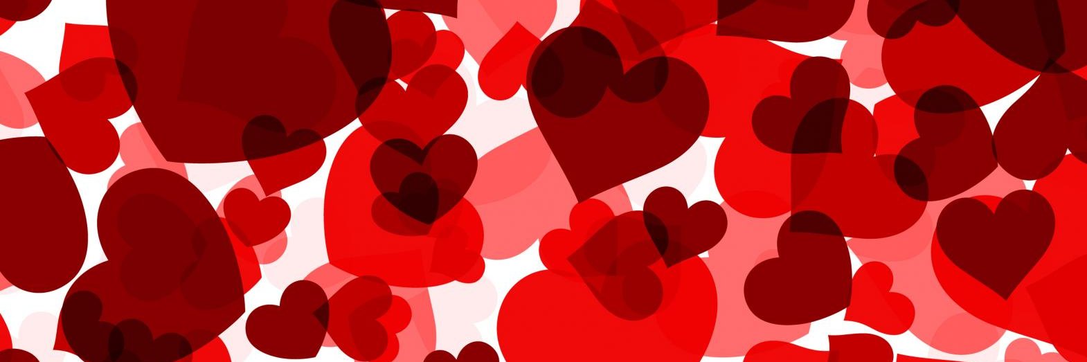 BNOW.org banner