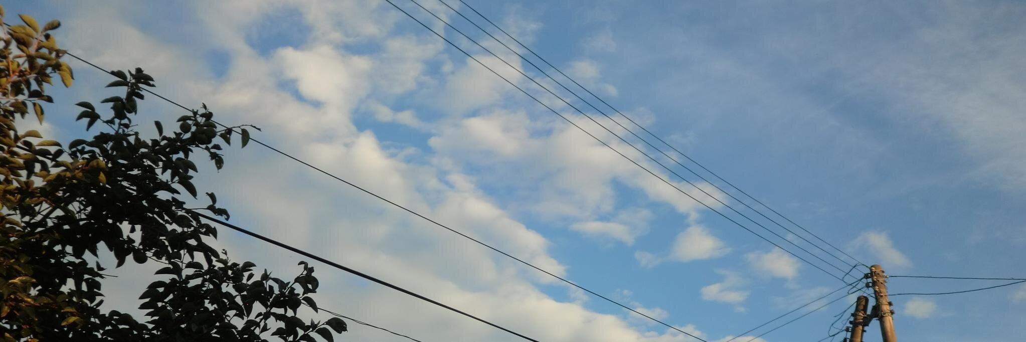 みる banner
