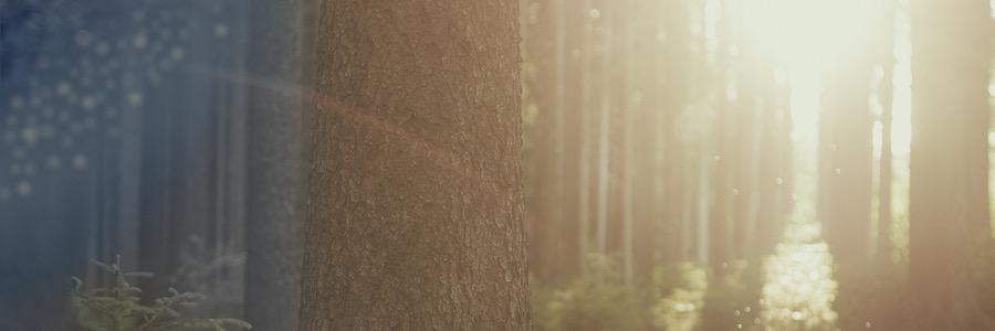BeursMeisje's profile banner image