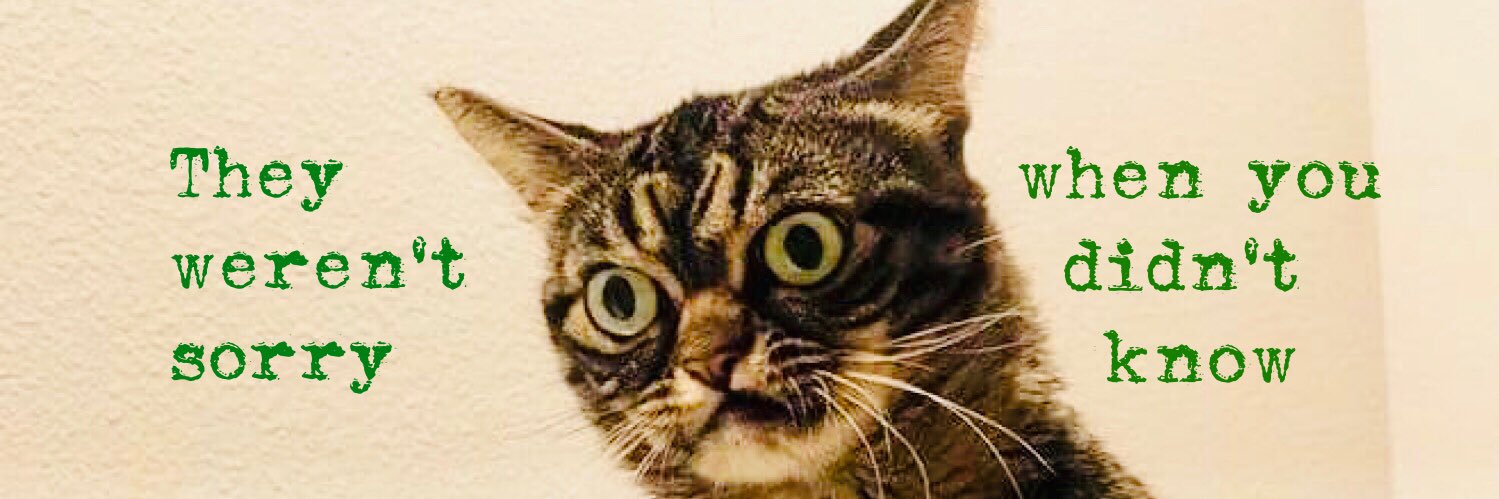 Dr Rachel Claire Morris 🏴󠁧󠁢󠁷󠁬󠁳󠁿🇨🇦🇪🇺 banner