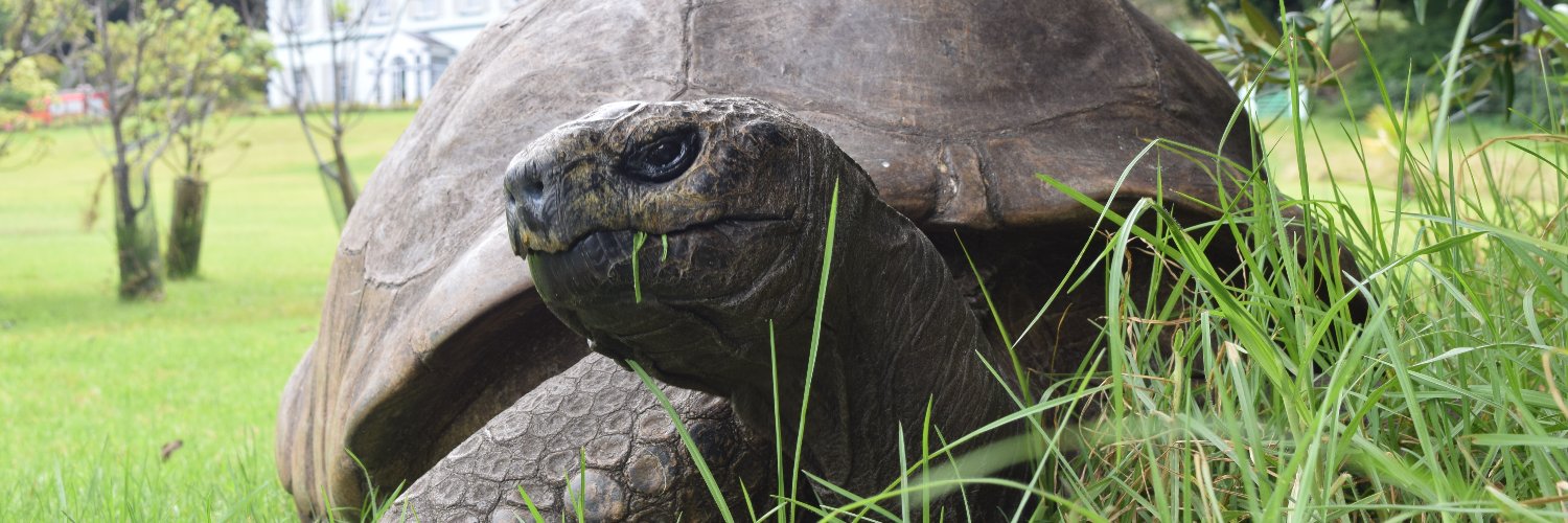 Governor's Office - St Helena, Ascension & Tristan banner