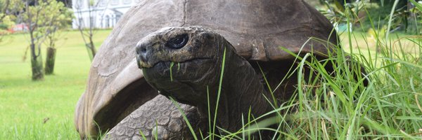 GO_ASHT Profile Banner