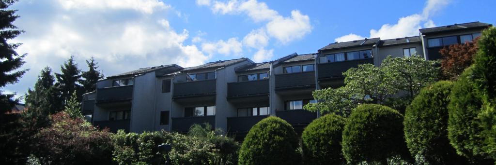 New Chelsea Society banner