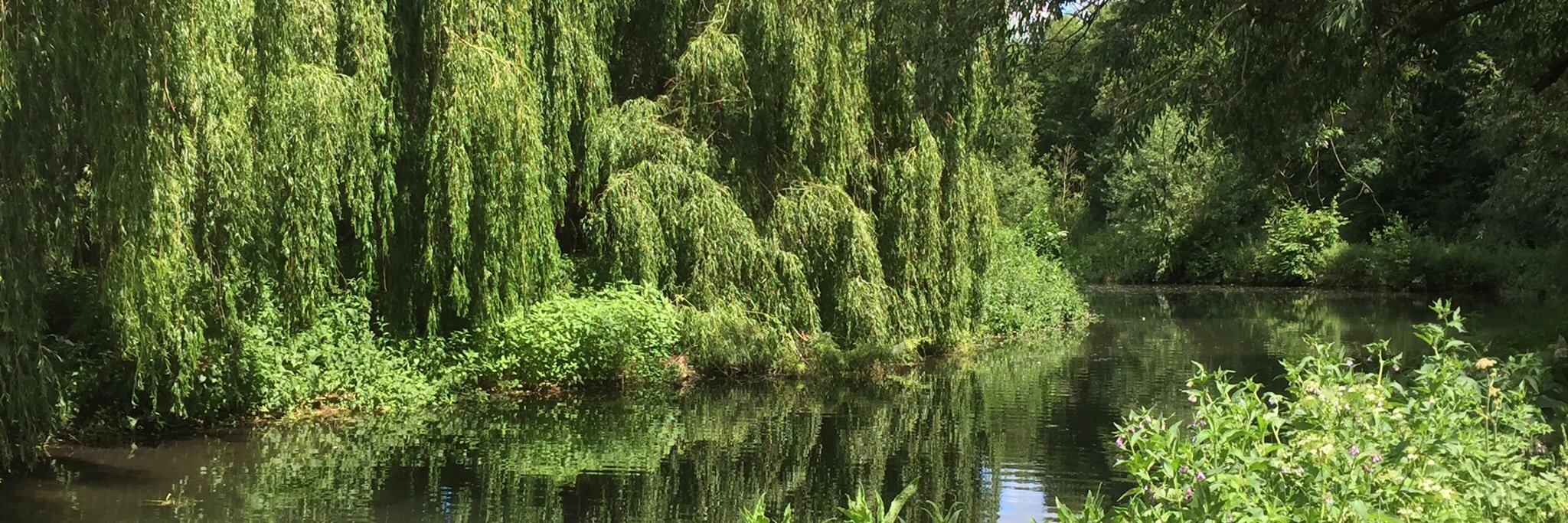 StortValleyRotary banner