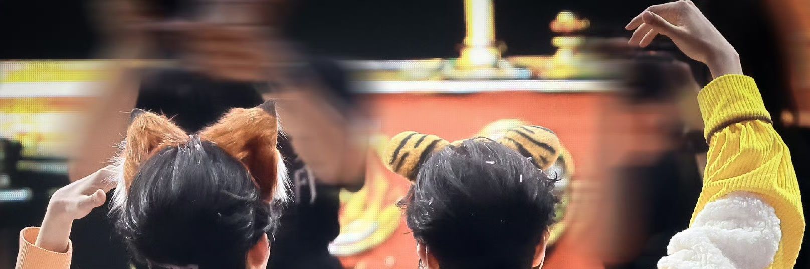 syaaafp's profile banner image