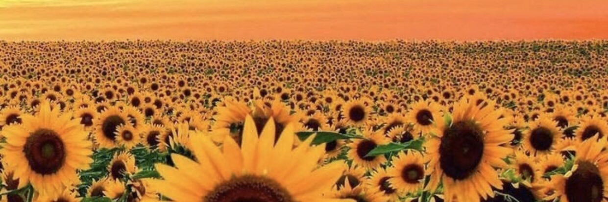 whitners24's profile banner image