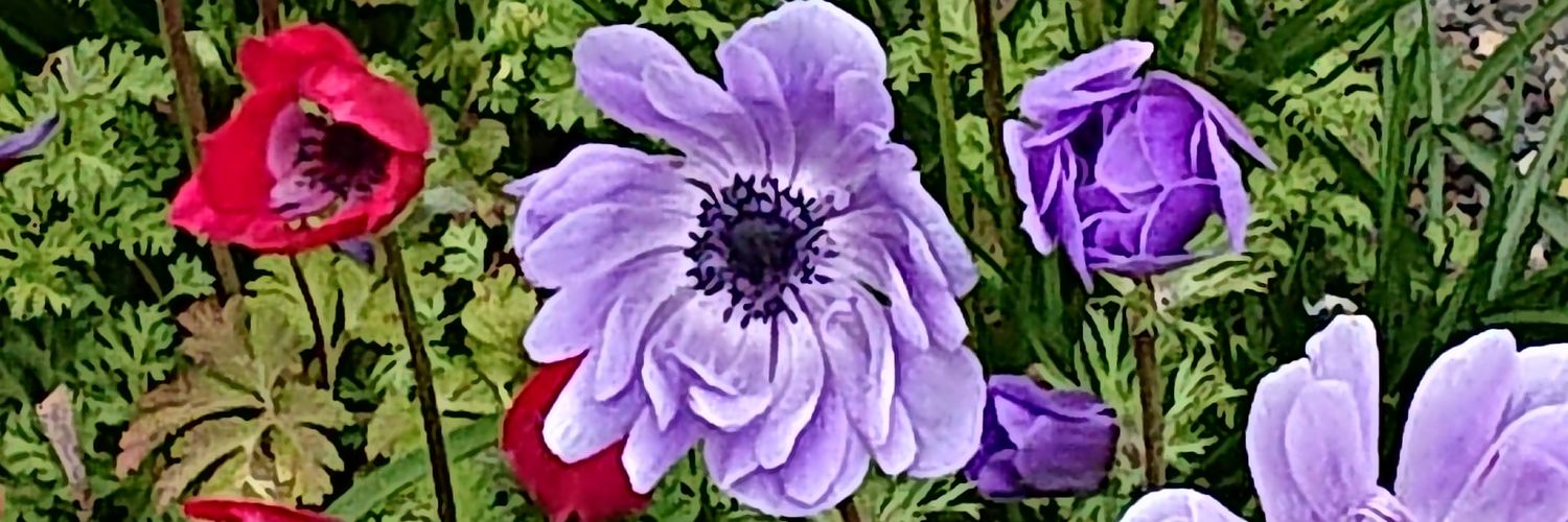 mayumi_dango's profile banner image