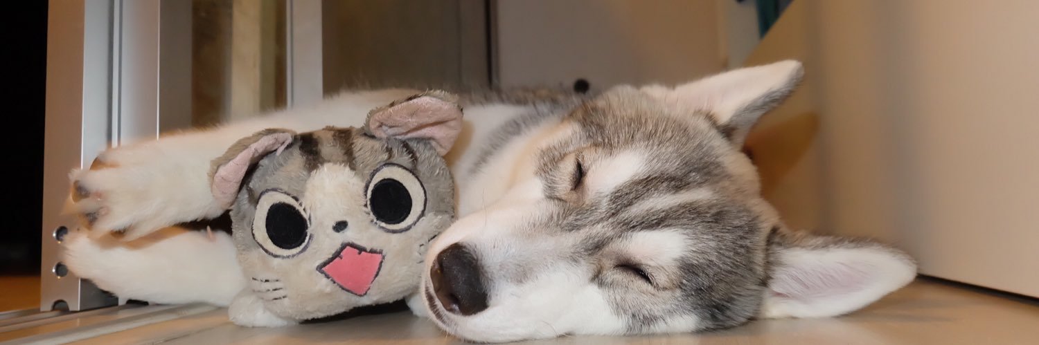 Oriploy's profile banner image