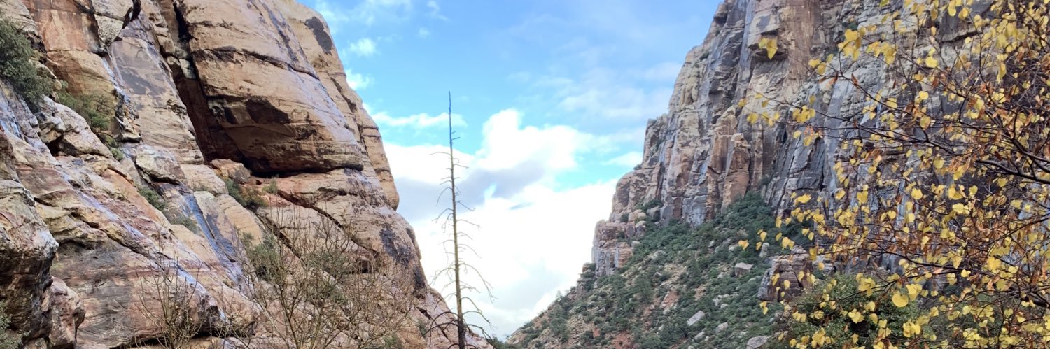 CallMeeDylann__'s profile banner image