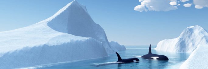 Radiant L1 - Community banner