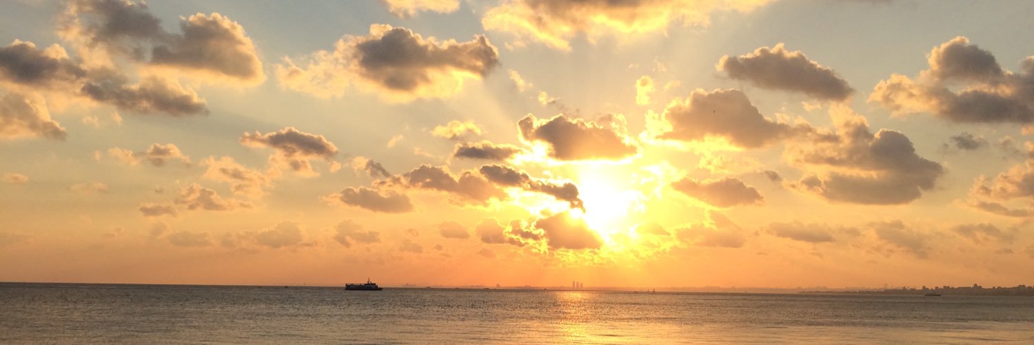 pınar t.ugurlu banner