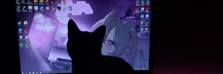 dropy banner