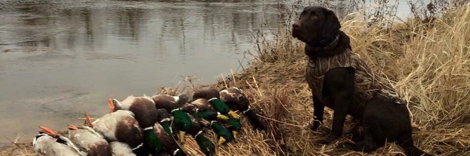 bowkill77's profile banner image