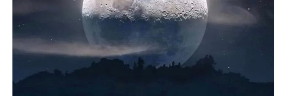 BTraven banner