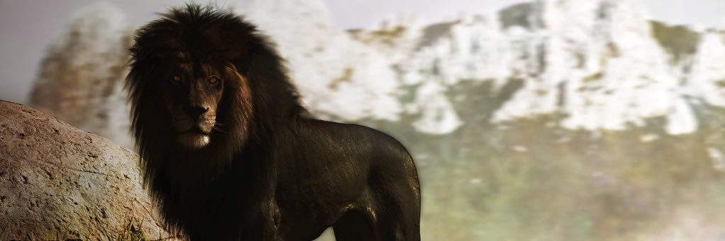 AslamVW's profile banner image