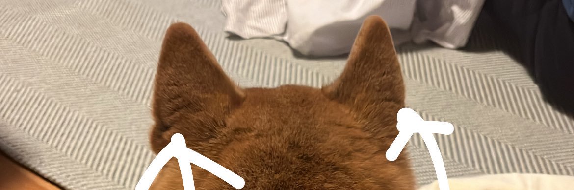 mike_identity_'s profile banner image