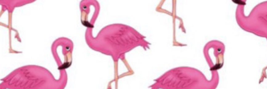 VolusiaCountyLC's profile banner image