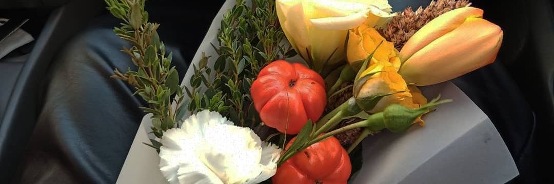 mar Ƹ̵̡Ӝ̵̨̄Ʒ ian banner