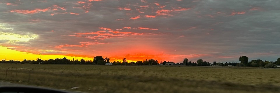 briggosity's profile banner image