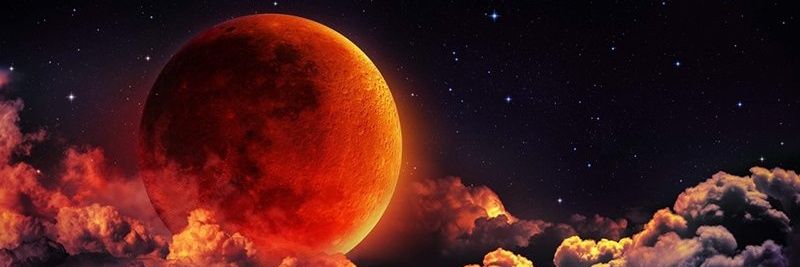Its_Ally1's profile banner image