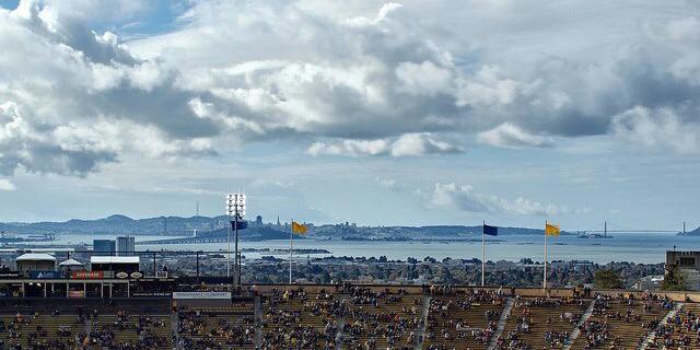 Section925↗️ banner