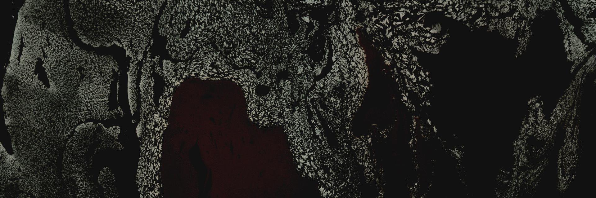 DefinitiveTaste's profile banner image