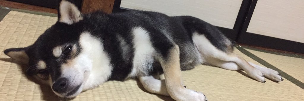 ukey_chi's profile banner image
