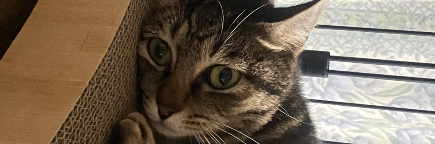 えもん@ちょいオタ banner