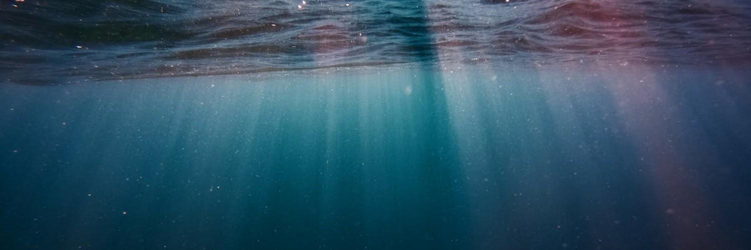 The Swanson Lab banner