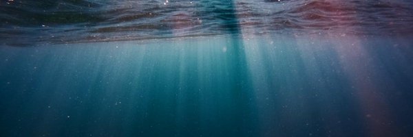 Swanson_Lab Profile Banner