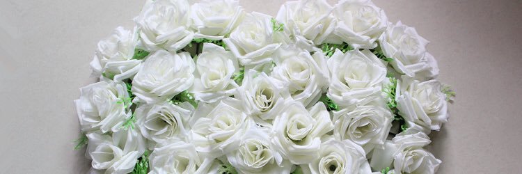 avrilianiNP's profile banner image