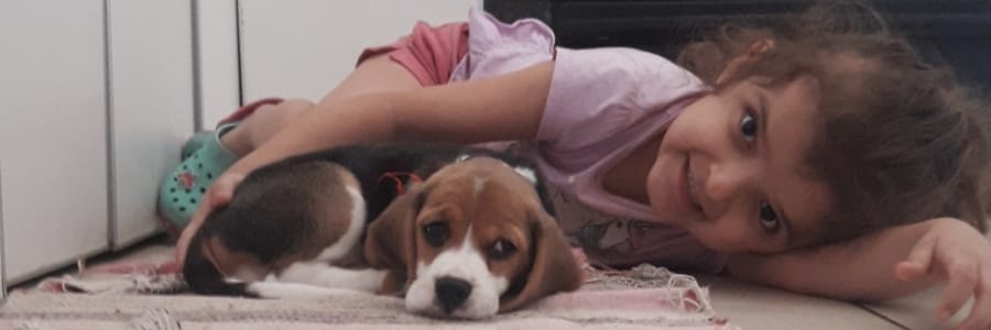 caritomelro's profile banner image