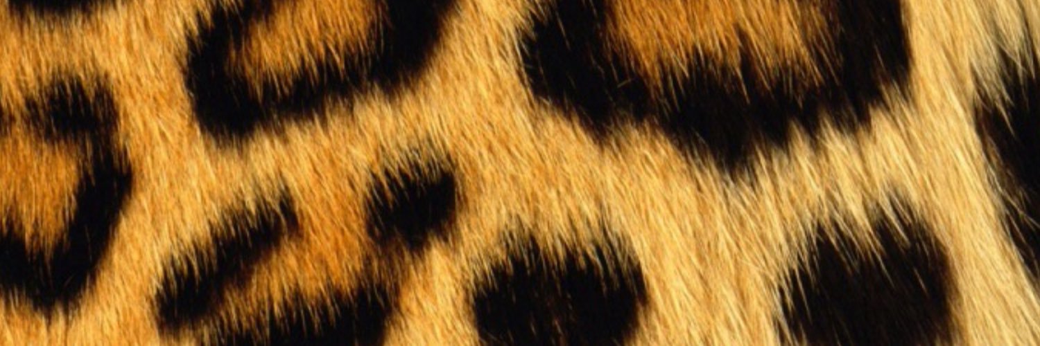 JenDonohoe's profile banner image