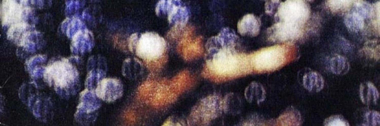 fedelopezar1's profile banner image