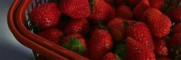 น้ำตาล🔞.โสดดดด banner